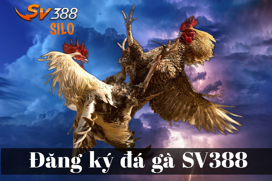 Đăng ký đá gà SV388