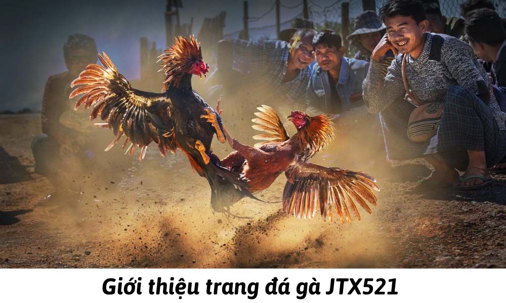 Giới thiệu trang đá gà JTX521